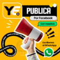 Prueba 3